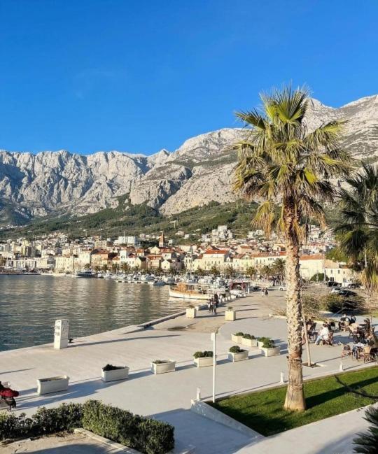 Magnolia Apartment Makarska